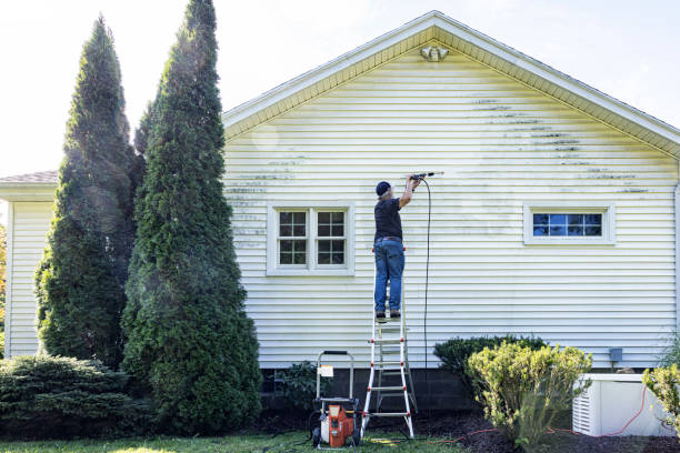Best Solar Panel Cleaning  in Bowling Green, FL